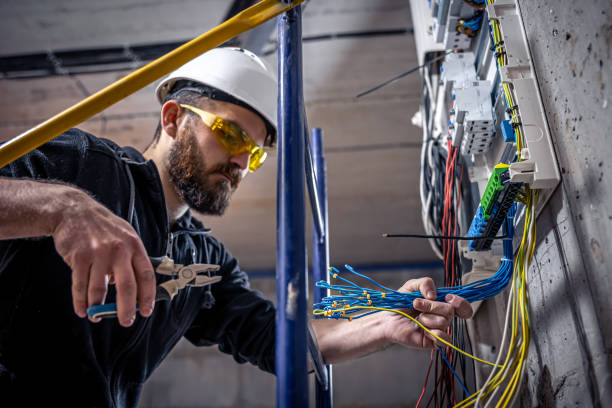 Best Licensed Electrician  in The Homesteads, TX
