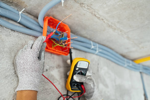 Best Home Electrical Repair  in The Homesteads, TX